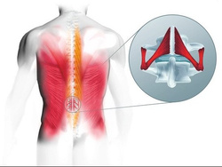 Zdrowotne krzesło RUCK STOOL Bioswing, CPL Biały, szałwia