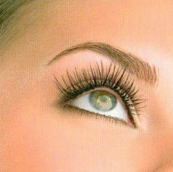 Bransus Natural Eyelashes tuft