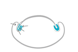 RUCK tamponada w rolce, cienka, 1 szt. 1,4 cm x 10 m