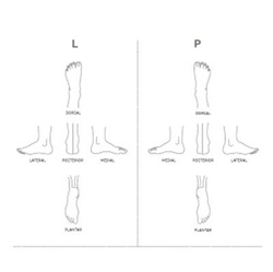 Druk: karta pacjenta, klienta gabinetu podologicznego, cukrzycowy wywiad podologiczny, komplet 10szt.