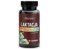 SKOCZYLAS Laktacja dla kobiet karmiących, 60 kapsułek