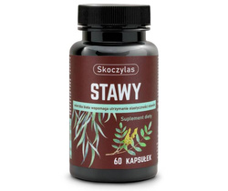 SKOCZYLAS Stawy, 60 kapsułek