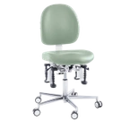 Krzesło zdrowotne Bioswing, beauty, szałwia