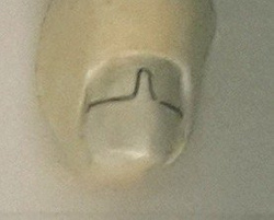 Cęgi Radinga do wyginania Omegi