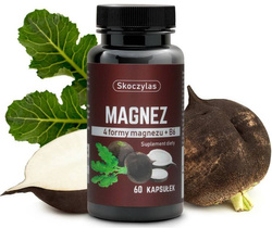 Magnez 4 formy - czarna rzepa, 60 kapsułek, (na stres, mięśnie, żyły, kości, stawy, telomery, metabolizm energetyczny białka i glikogenu, homocysteina, produkcja czerwonych krwinek)