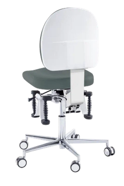 Krzesło zdrowotne Bioswing, beauty, kamienny, rozmiar 2