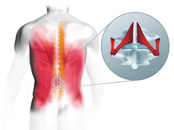 Krzesło zdrowotne Bioswing, beauty, espresso, rozmiar 2B