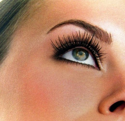 Bransus Natural Eyelashes tuft