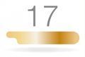 Złota klamra ortonyksyjna RUCK® GOLDSTADT PROFESSIONAL, połówka, gr 0,15mm, rozm 17, 1szt.